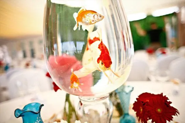 Peces en tu boda - Una Boda Original - Blog de bodas Peces en tu boda - Una Boda Original - Blog de bodas
