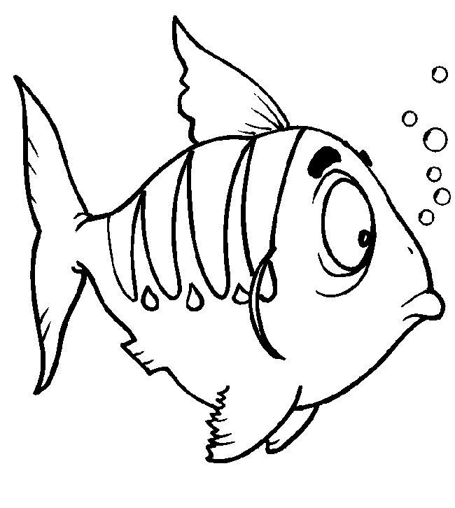 Dibujos para colorear: Dibujos para colorear - Peces