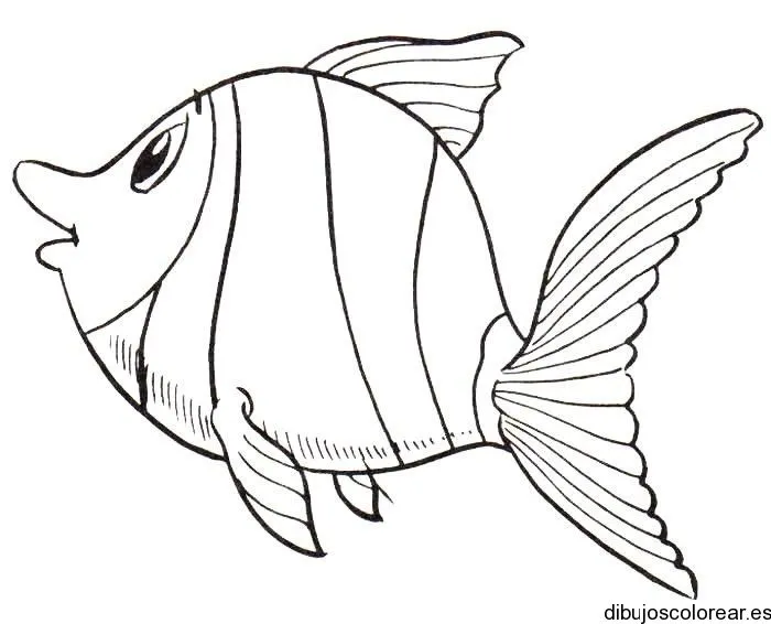 Peces | Dibujos para Colorear