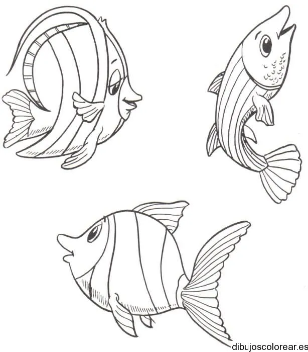 Peces | Dibujos para Colorear