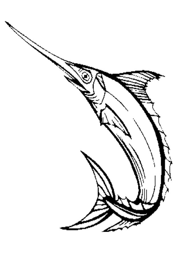 Peces espada para dibujar - Imagui