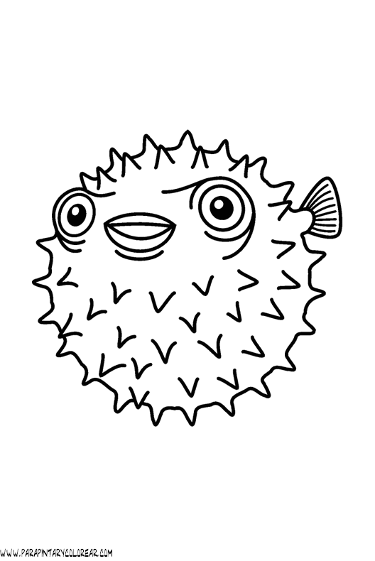 Dibujos de pez globo imagenes - Imagui