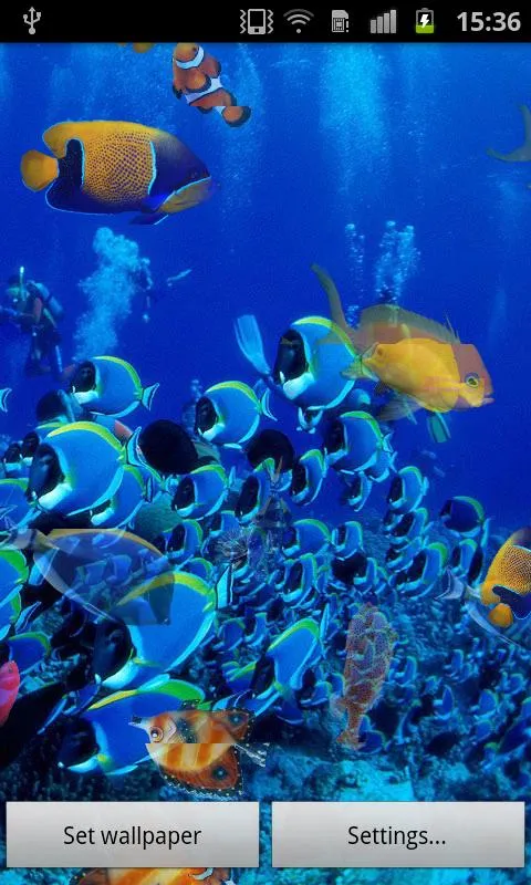 Peces de Oceano Fondo Animado - Aplicaciones de Android en Google Play Peces de Oceano Fondo Animado - Aplicaciones de Android en Google Play