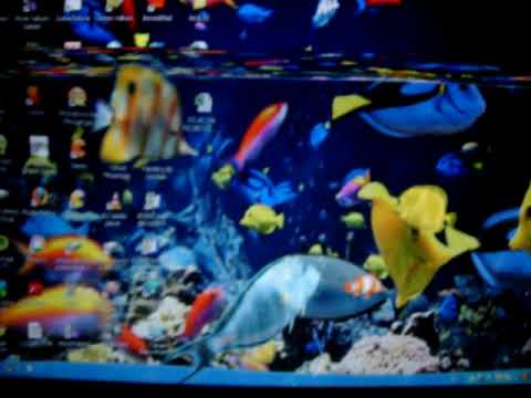 Peces en mi pc .MOV - YouTube