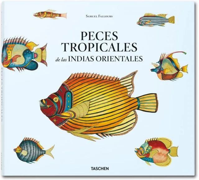 Peces tropicales dibujos - Imagui