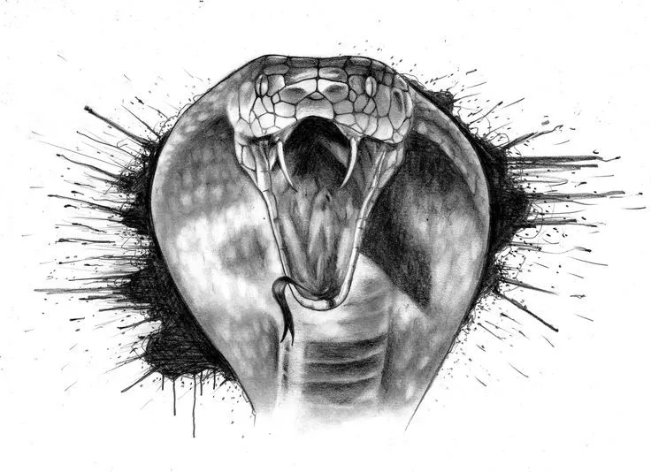 Trabajo a pedido (Serpiente) | Dibujo a lápiz sobre papel ... Trabajo a pedido (Serpiente) | Dibujo a lápiz sobre papel ...