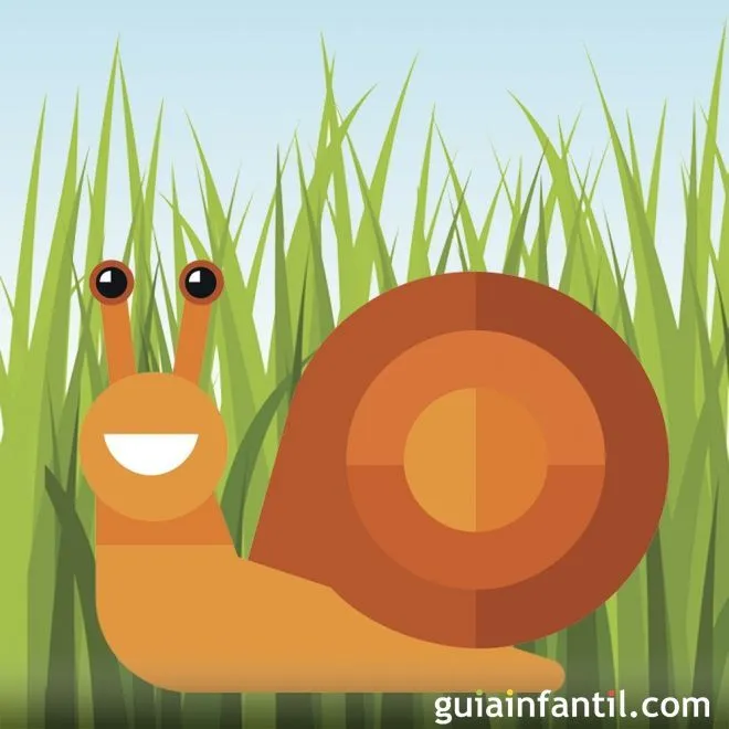 Pedrito, el caracol y la babosa. Cuento sobre la bondad - Cuentos ...