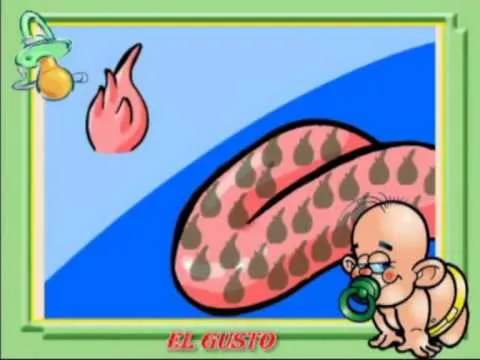 Película SENTIDO DEL GUSTO - YouTube