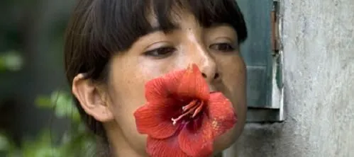 Películas premiadas en el Festival de Berlín 2009