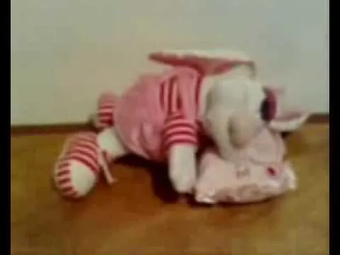 PELUCHES OREJONES PELANAS #34 - YouTube