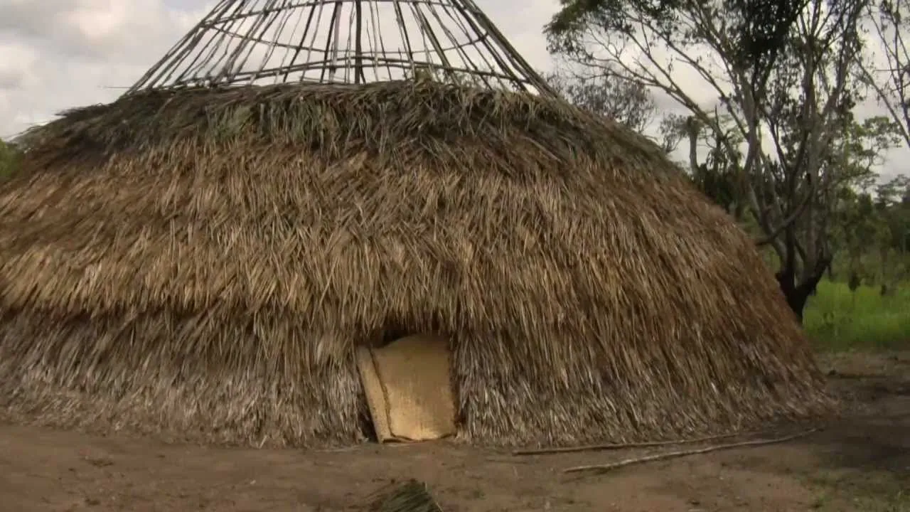 Churuata Piaroa, Estado Amazonas, Venezuela - YouTube