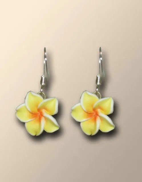 Pendientes con flor hawaiana | Flickr - Photo Sharing! Pendientes con flor hawaiana | Flickr - Photo Sharing!