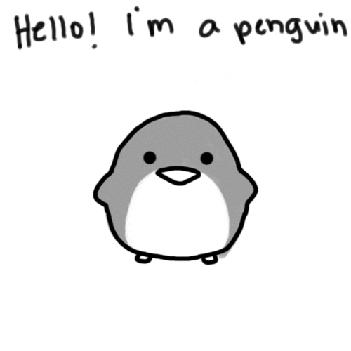 penguin gif | Tumblr | pingüinos | Pinterest