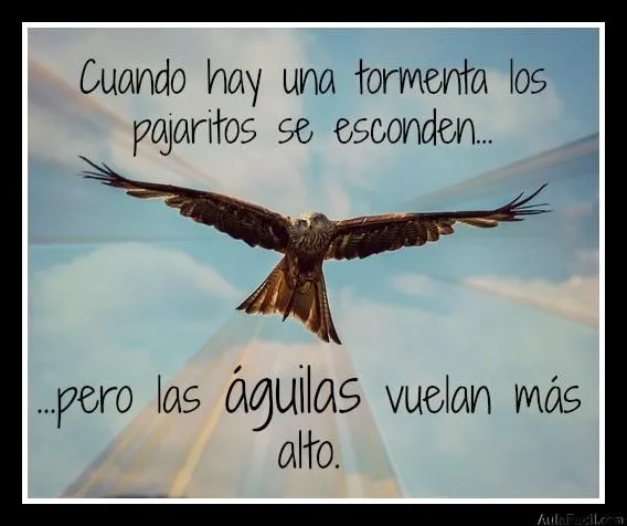 Pensamiento Positivo: Cuando hay una tormenta | AulaFacil.com: Los ...