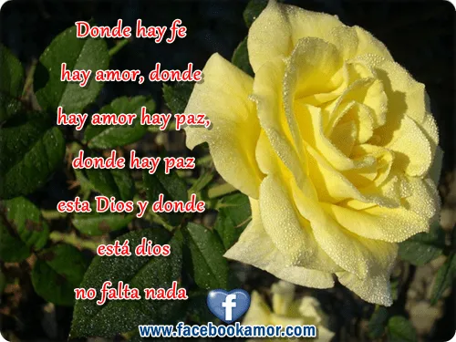 PENSAMIENTOS DE AMOR PARA FACEBOOK - Imagenes de Amor Facebook