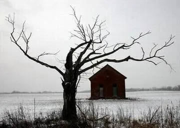 Pensamientos: Árbol. : El Rincón de Nekromancer Pensamientos: Árbol. : El Rincón de Nekromancer