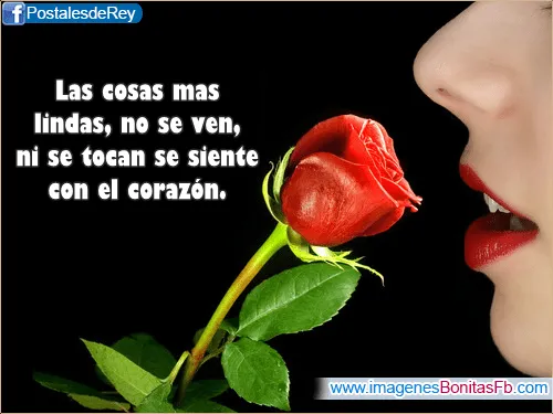 Pensamientos bonitos de amor para facebook - Imagenes de Amor Facebook