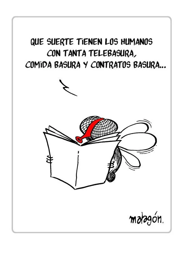 Pensamientos de una mosca