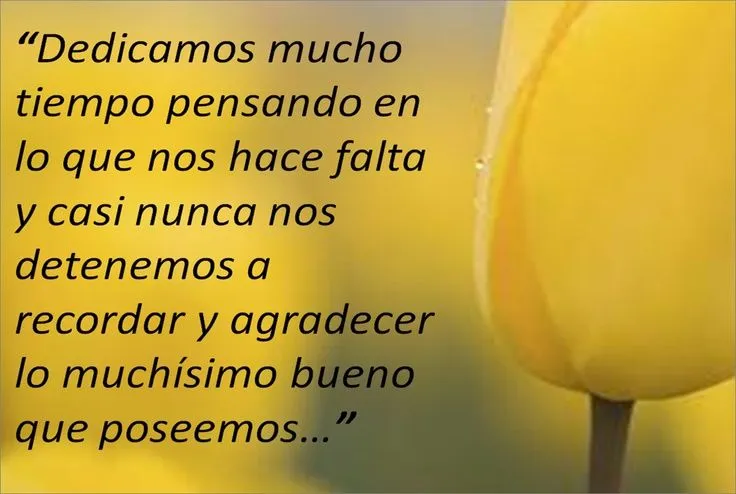 Pensamientos motivación | Citas Citables y Letreritos | Pinterest