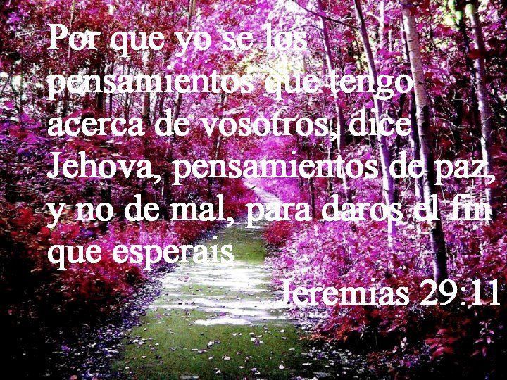 Pensamientos de paz | Versículos bíblicos, Bíblicos, Imágenes cristianas Pensamientos de paz | Versículos bíblicos, Bíblicos, Imágenes cristianas
