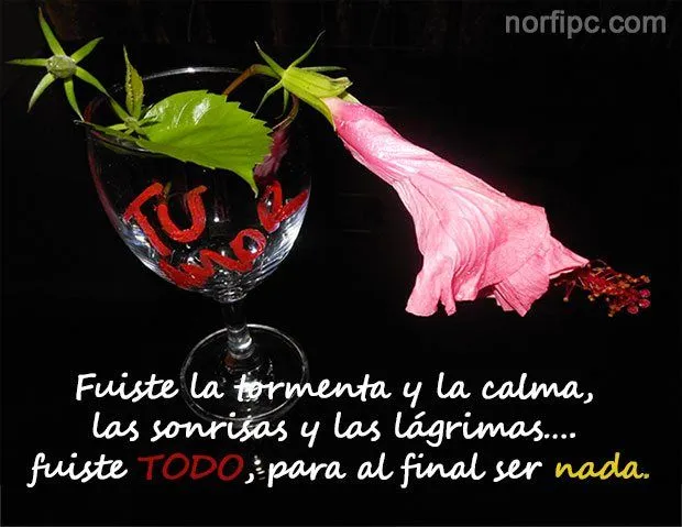 Pensamientos sobre la soledad, la decepción y la tristeza Pensamientos sobre la soledad, la decepción y la tristeza
