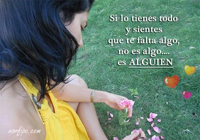 Pensamientos sobre la soledad, la decepción y la tristeza Pensamientos sobre la soledad, la decepción y la tristeza