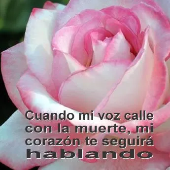 PENSAMIENTOS, VERSOS Y FRASES PARA COMPARTIR » frases-bonitas-amor PENSAMIENTOS, VERSOS Y FRASES PARA COMPARTIR » frases-bonitas-amor
