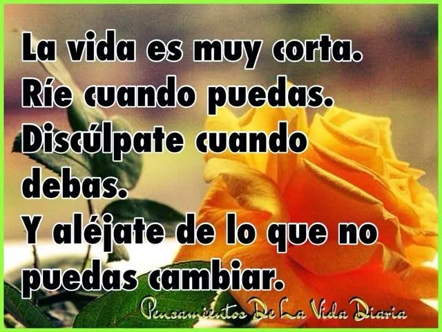 Reflexiones cortas de vida diaria - Imagui