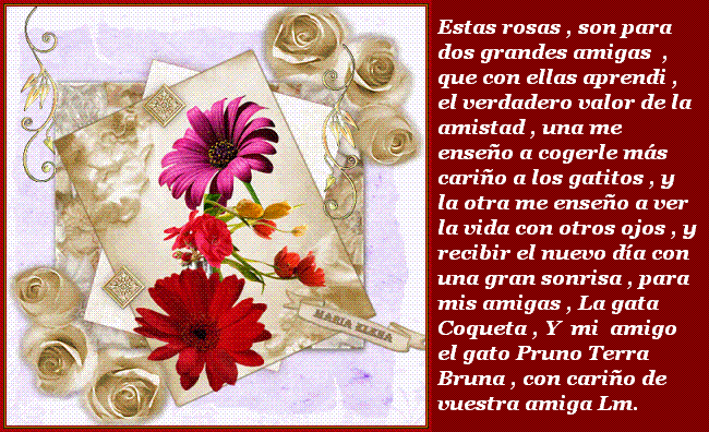Mis pensamientos al viento: Rosas que han florecido de la amistad