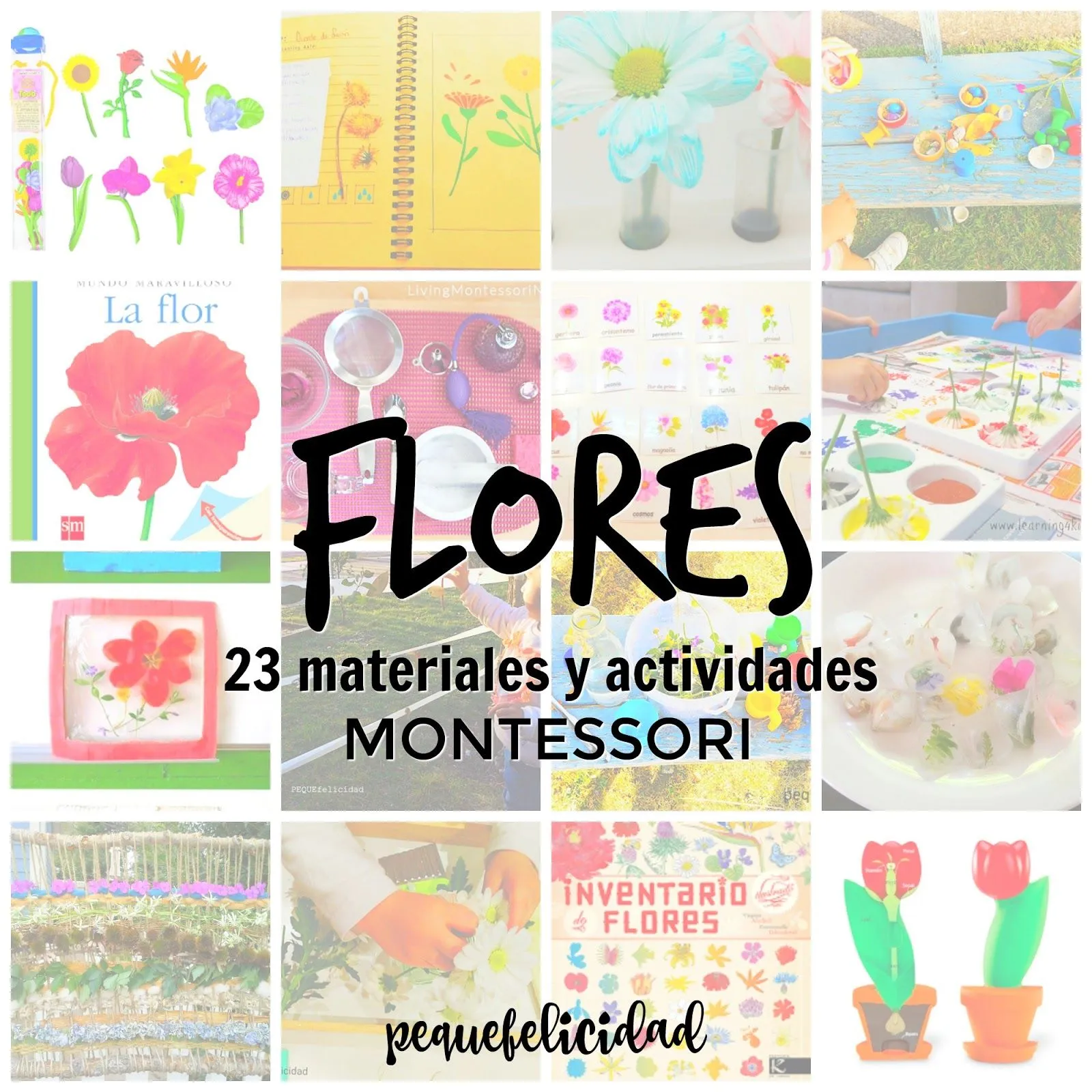 PEQUEfelicidad: FLORES: 23 ACTIVIDADES Y MATERIALES MONTESSORI PEQUEfelicidad: FLORES: 23 ACTIVIDADES Y MATERIALES MONTESSORI