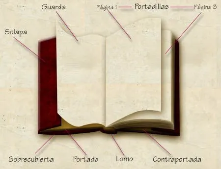 PEQUEÑA GALERIA DEL LIBRO Y LA IMAGEN II -------: LAS PARTES DEL LIBRO PEQUEÑA GALERIA DEL LIBRO Y LA IMAGEN II -------: LAS PARTES DEL LIBRO