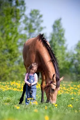 Pequeña niña con su caballo.
