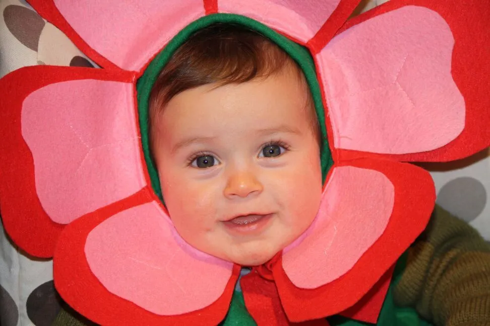 PEQUEÑA {TIRANA}: DISFRAZ DE FLOR PEQUEÑA {TIRANA}: DISFRAZ DE FLOR