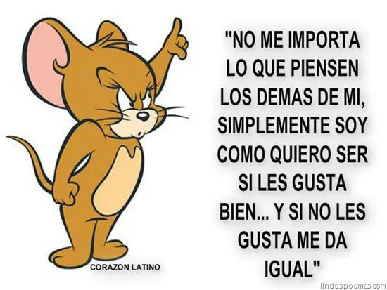 ESAS PEQUEÑAS COSAS: Soy como soy ...