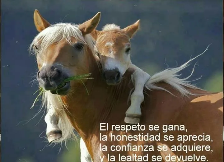 ESAS PEQUEÑAS COSAS: El respeto ...