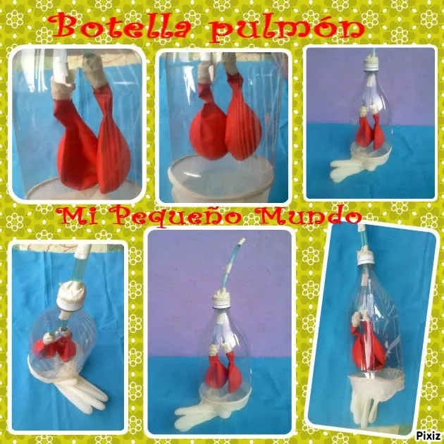 Mi Pequeño Mundo : El Cuerpo Humano y su sistema respiratorio