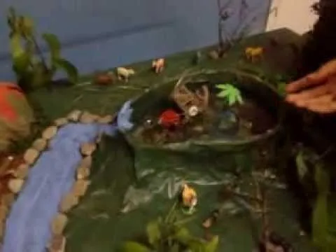 Desarrollan un método único para elaborar la Lista Roja de los ...