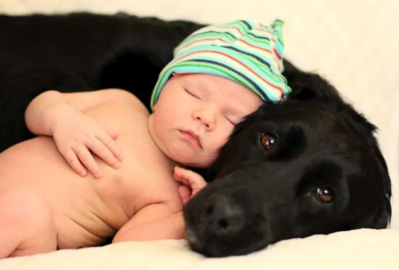 Pequeños bebés y sus adorables perros gigantes – Marcianos Pequeños bebés y sus adorables perros gigantes – Marcianos