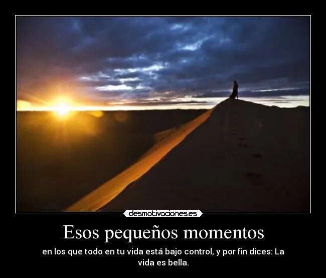 Esos pequeños momentos | Desmotivaciones