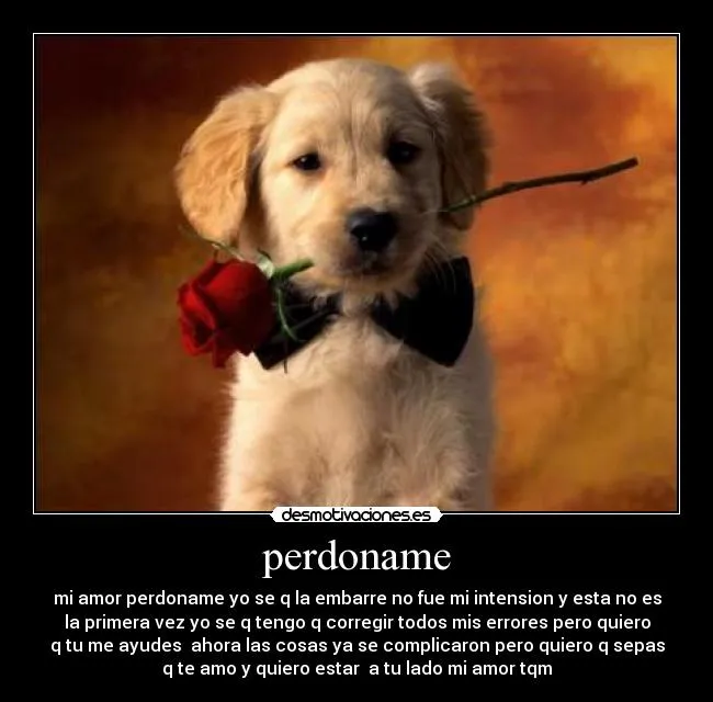 Perdoname mi amor te amo - Imagui
