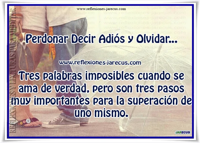 Perdonar Decir Adiós y Olvidar | Reflexiones y Lecturas para Meditar Perdonar Decir Adiós y Olvidar | Reflexiones y Lecturas para Meditar