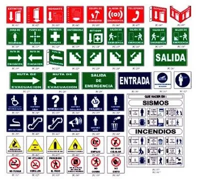 Perea Carmona Cinthia Ivonne: 11-