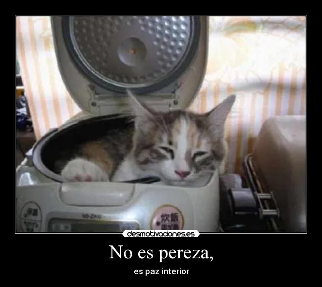 No es pereza, | Desmotivaciones