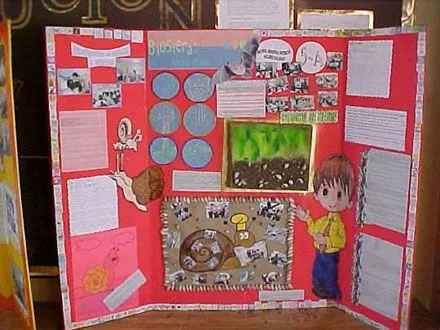 Cómo hacer un periódico mural - Cómo Hacer Un Ensayo Bien Cómo hacer un periódico mural - Cómo Hacer Un Ensayo Bien