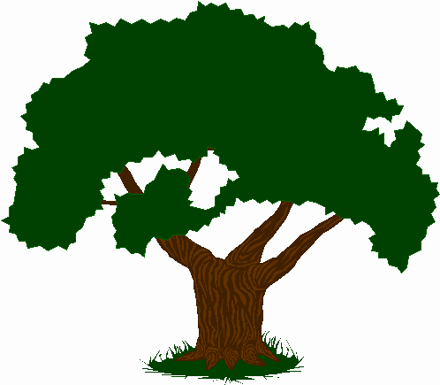 UN ARBOL ANIMADO - Imagui