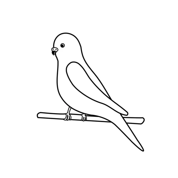 Periquito-logo para negocio de aves exóticas — Vector stock ... Periquito-logo para negocio de aves exóticas — Vector stock ...