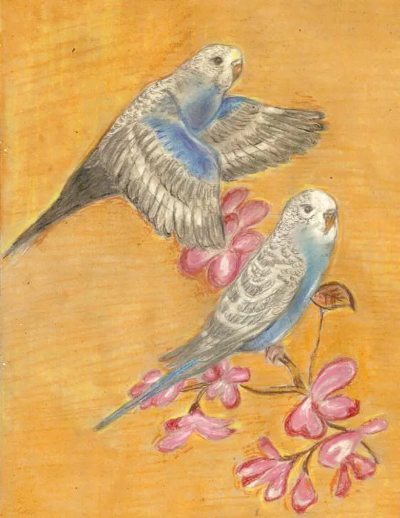 Periquitos Guillermo Vallejo Saura - Artelista.com