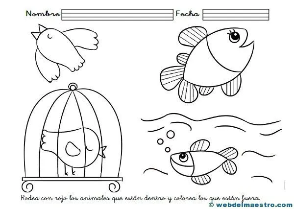 Percepción espacial - Web del maestro