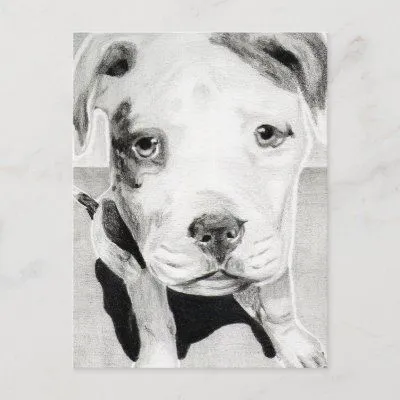 Perrito de Pitbull en el lápiz 2 de Jacob Grimm de Zazzle.es Perrito de Pitbull en el lápiz 2 de Jacob Grimm de Zazzle.es