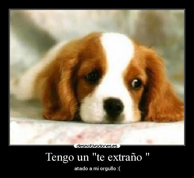 Tengo un "te extraño " | Desmotivaciones